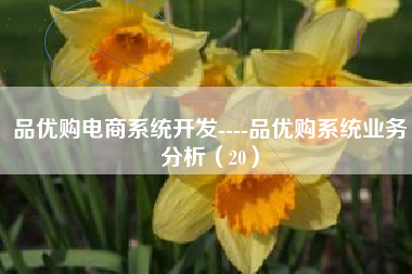 品优购电商系统开发----品优购系统业务分析(20)